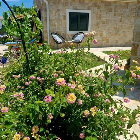 House Calendula