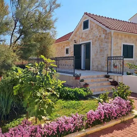 House Calendula