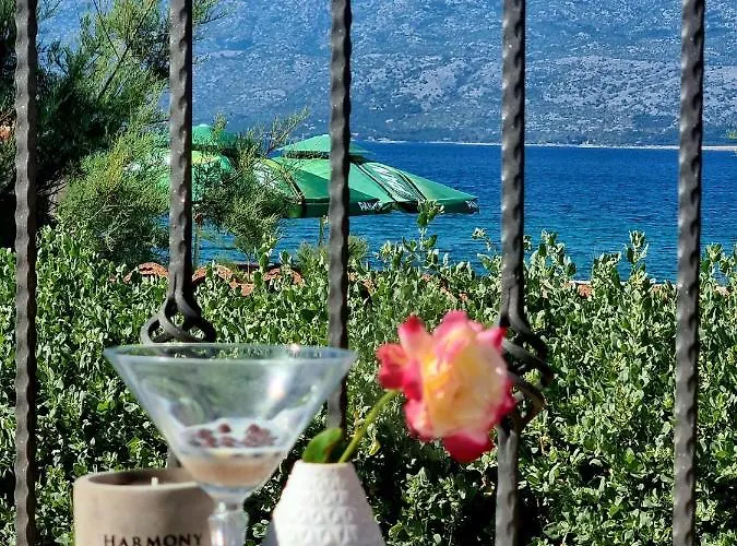 House Calendula Ražanac