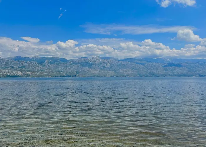 Dom wakacyjny House Calendula *